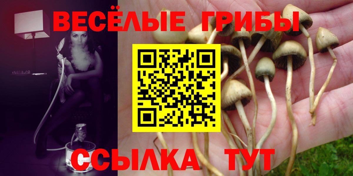 Псилоцибиновые грибы ЛСД Воркута